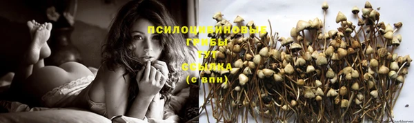 прущая мука Киреевск