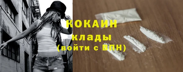 стаф Кодинск
