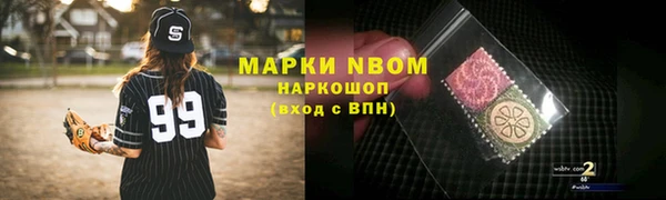 стафф Касимов