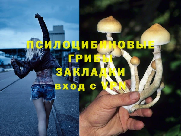 дмт Козельск
